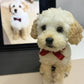 Custom Realistic Pet Clone – Handcrafted 3D Twist-Wool Sculpture (20cm/8inch Nose-to-Butt)